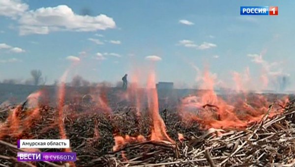 Как после бомбардировки напалмом: весеннее обострение поджигателей - «Новости дня»