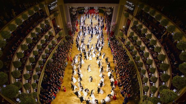 Как Венская опера связана с насилием над детьми - «Новости дня»