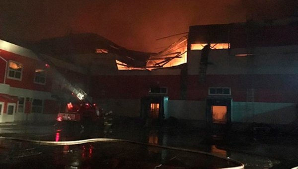 Крупный пожар в Воронежской области локализован - «Новости дня»
