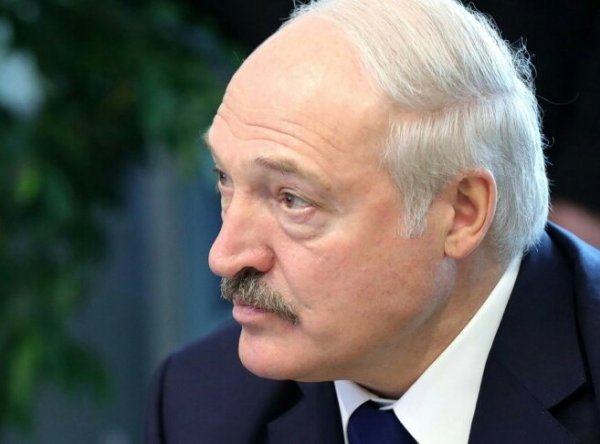 Лукашенко дал прогноз на итоги выборов президента Украины - «Спорт»