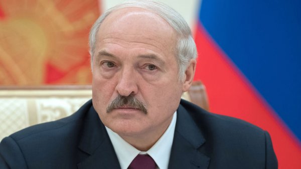 Лукашенко поздравил Зеленского с победой на выборах - «Политика»