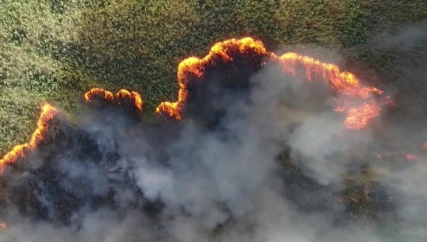 МЧС России: пожары во всех 14 населенных пунктах в Забайкалье ликвидированы - «Новости дня»