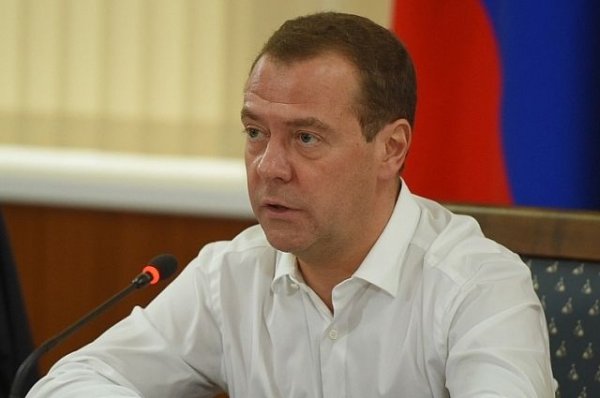 Медведев предложил на 100% увеличить премии правительства молодым ученым - «Политика»