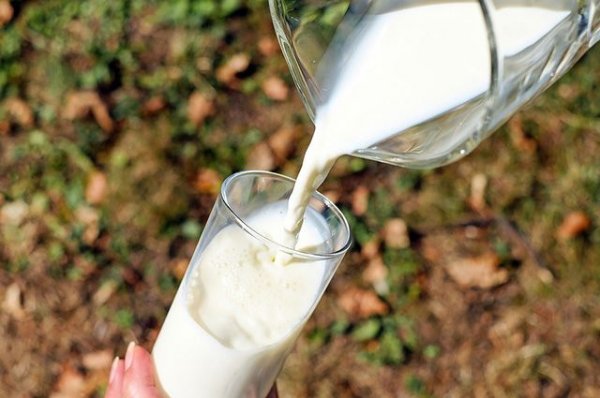 Медведев: вопрос импорта молока из Белоруссии будет решаться поэтапно - «Политика»