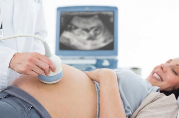 Младенец в 3D. Запретят ли УЗИ во время беременности? - «Политика»