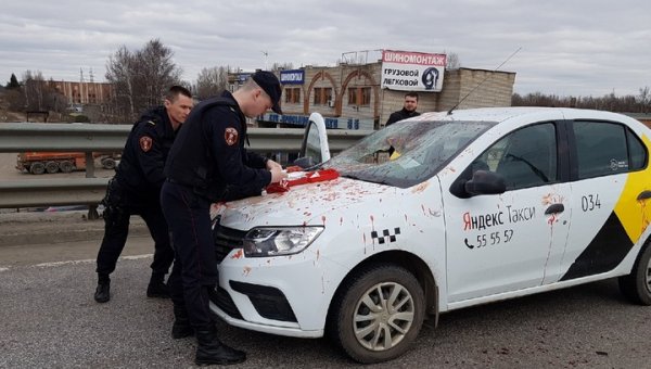 Неадекватный мужчина с ножом атаковал таксиста и его автомобиль в Ярославле. Видео - «Новости дня»