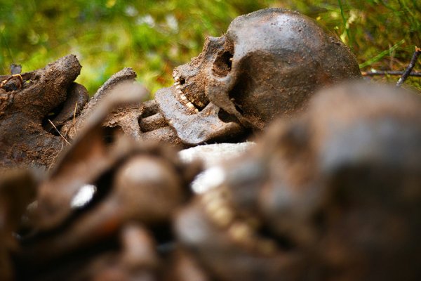 Останки древних людей неизвестного вида обнаружены на Филиппинах - «Новости Дня»