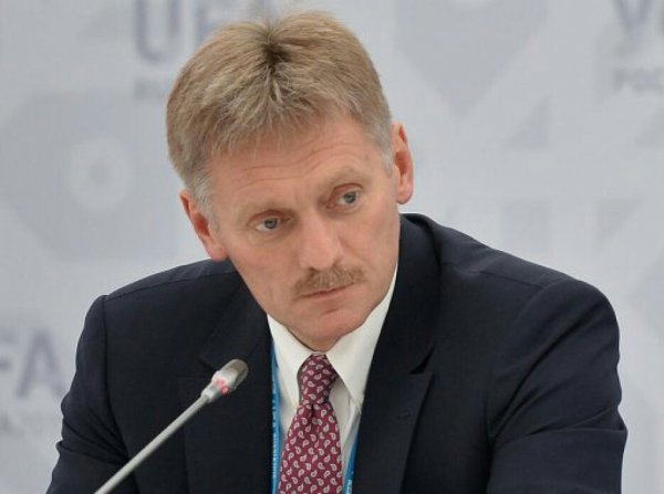 Песков оценил возможность переговоров Путина и Зеленского - «Здоровье»