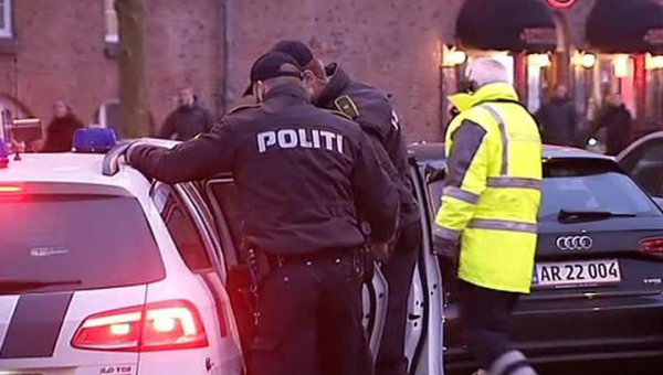 По делу о стрельбе в Дании задержаны 14 человек - «Новости дня»