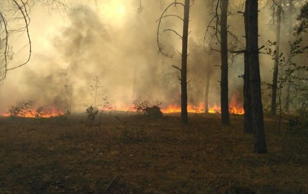 Пожар в Черниговской области локализован