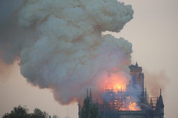 Пожарные озвучили возможную причину пожара в соборе Парижской Богоматери - «Политика»