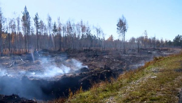 Пожары в Забайкалье нанесли сельскому хозяйству ущерб на 600 млн рублей - «Новости дня»