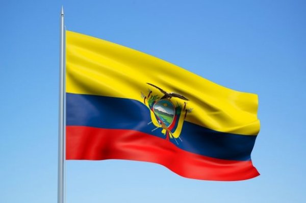 Предполагаемым российским хакерам могут запретить выезжать из Эквадора - «Политика»