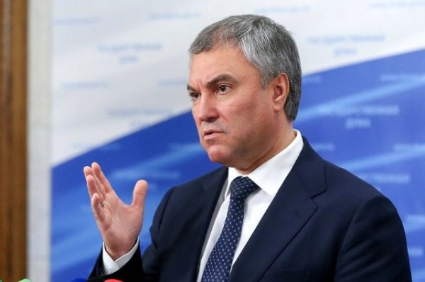 Председатель Госдумы Володин оценил отчет правительства за 2018 год - «Политика»