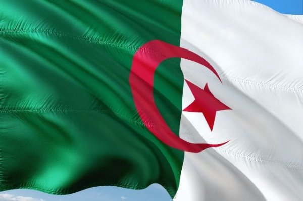 Президентские выборы в Алжире пройдут 4 июля - «Происшествия»