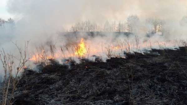 Природный пожар подобрался к космодрому Восточный - «Новости Дня»