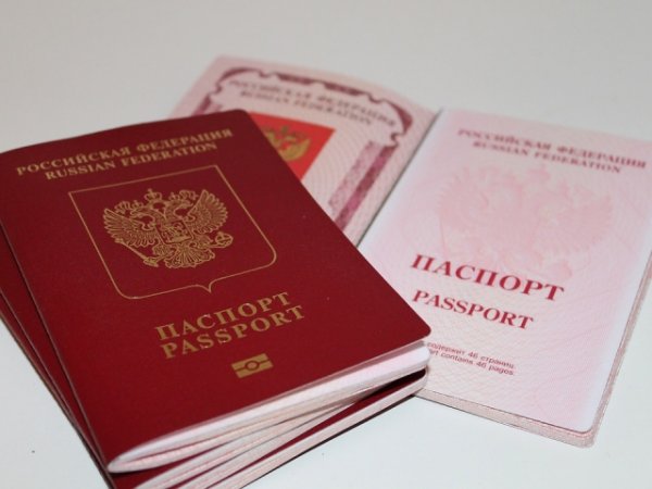 Путин обеспечил соблюдение прав жителей ДНР, упростив порядок получения паспортов РФ – мнение