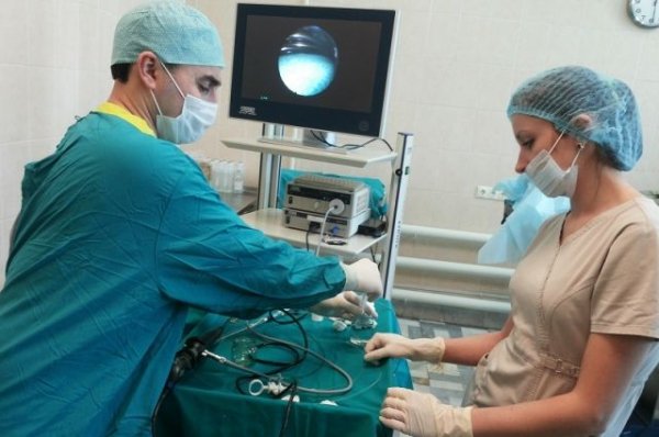 Редкая операция. В Москве спасли двух пациентов с необычными опухолями - «Происшествия»
