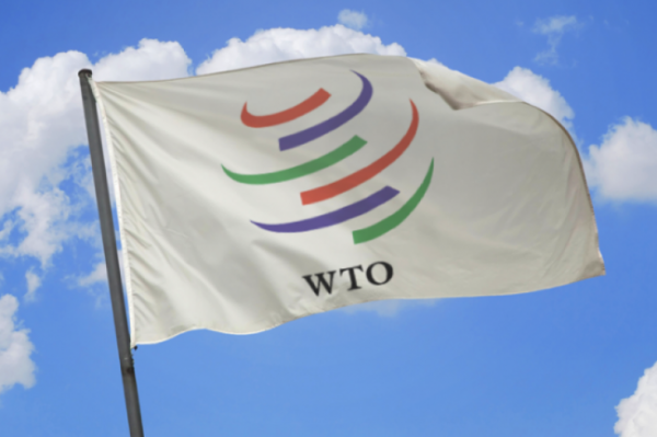 Россия выиграла в ВТО спор по транзиту продовольственных товаров из Украины - «Новости Дня»