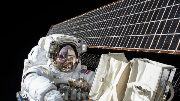 Российские космонавты начали выращивать ряску на борту МКС - «Новости Дня»