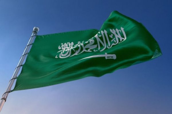 Саудовский принц прибудет 17 апреля в Москву – ТАСС - «Политика»