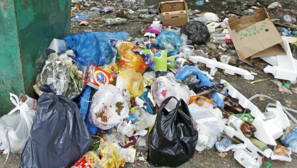Семья перерыла 12 тонн мусора, чтобы найти выброшенный пакет с миллионами - «Новости дня»