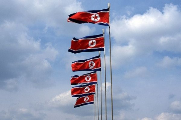 Северная Корея рассматривает возможность покупки двух самолетов из России - «Политика»