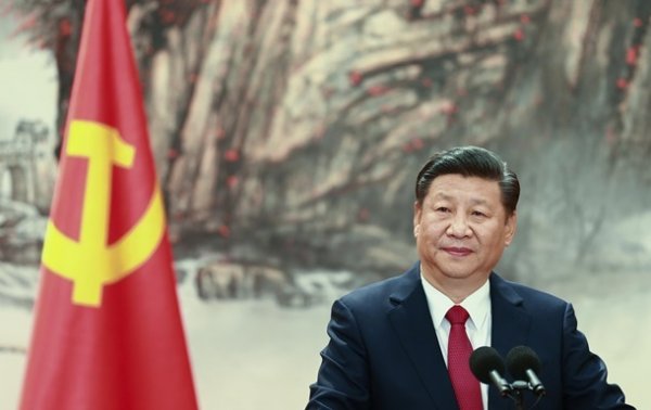 Си Цзиньпин поздравил Зеленского с победой на выборах