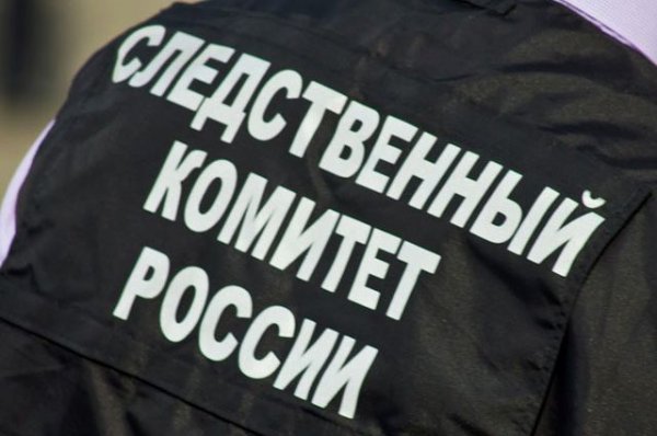 СК проверяет сообщения о нападении алабая на детей в Москве - «Происшествия»