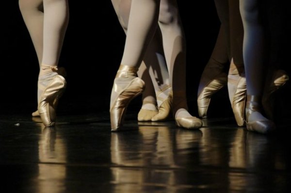 СМИ: в балетной школе Венской оперы девочек доводят до анорексии - «Происшествия»