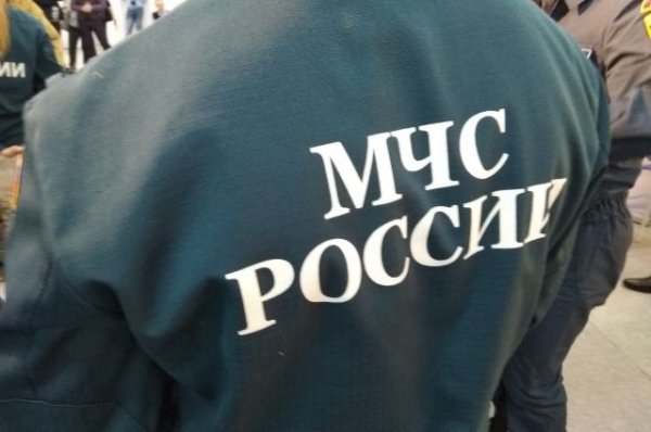 Сотрудники МЧС спасли мужчину из Москва-реки - «Политика»