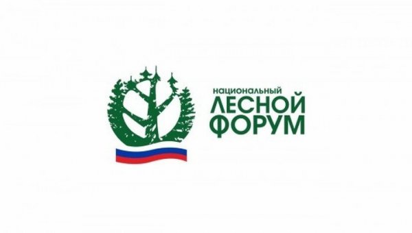 Участники из 27 регионов прибыли на Национальный лесной форум в Пермь - «Новости дня»