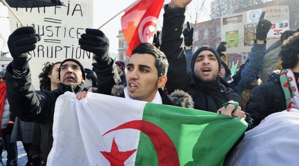 В Алжире назревает «цветная революция» - «Новости дня»