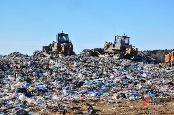 В Екатеринбурге компаниям грозит разорение, потому что горожане отказываются платить за вывоз мусора