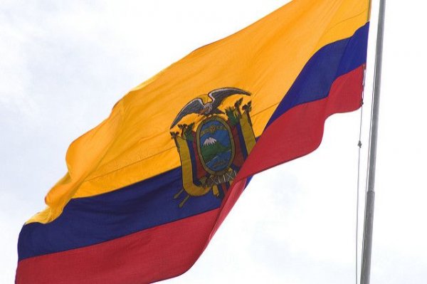 В Эквадоре заявили, что не знали о требовании США выдать Ассанжа - «Происшествия»