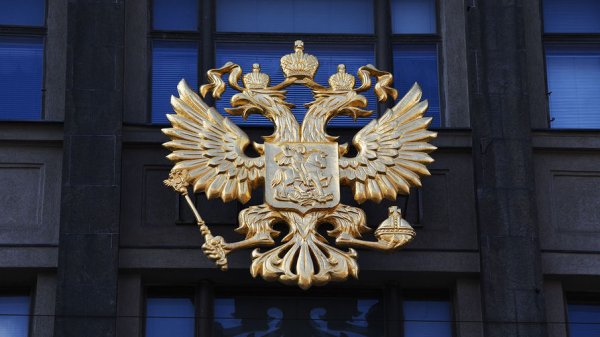 В Госдуме оценили предложение Володина о поправках в Конституцию - «Политика»