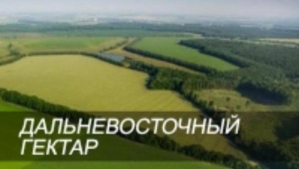 В Госдуму внесли законопроект о включении Бурятии в программу "Дальневосточный гектар" - «Новости дня»