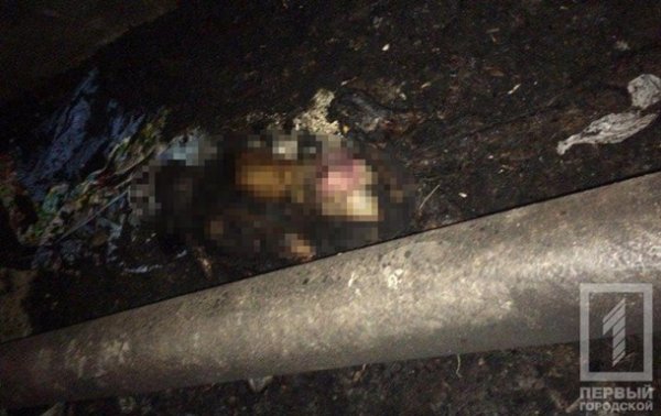 В Кривом Роге в куче горящего мусора нашли труп