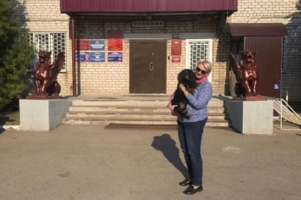В Ленинградской области полиция вернула собаку, похищенную вместе с авто - «Политика»