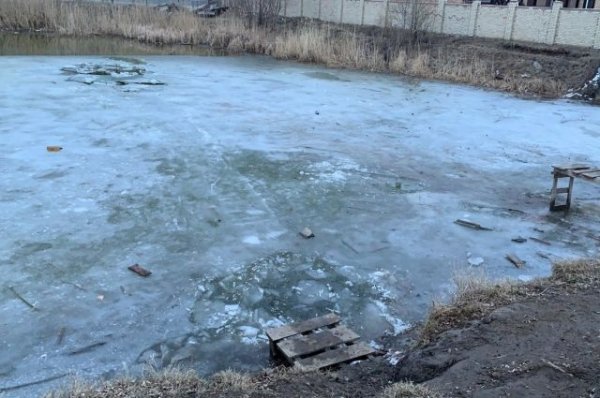 В Омске двое детей провалились под лед и утонули - «Политика»