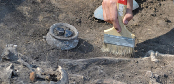 В Оренбургской области найдено захоронение древних кочевников - «Новости дня»
