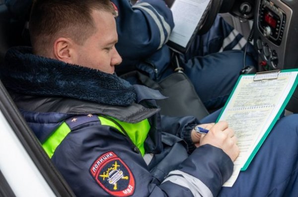 В Пензенской области пять человек погибли в аварии - «Политика»