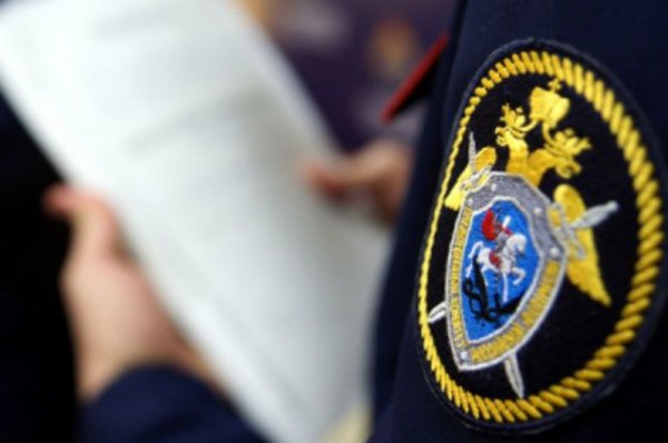 В Приамурье задержан мужчина, угрожавший полицейским ножом - «Политика»