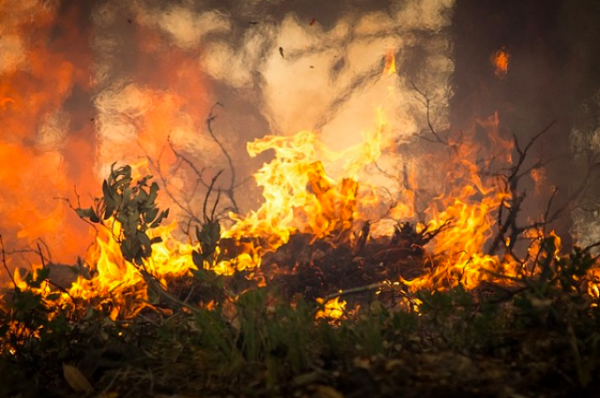 В результате лесных пожаров на юго-западе Китая погибли 30 человек - «Происшествия»