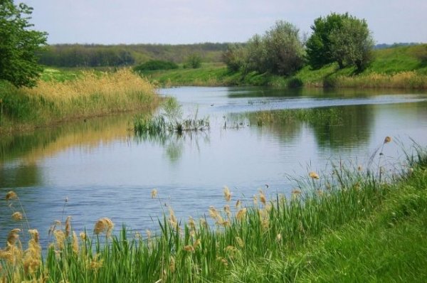 В Ростовской области при падении автомобиля в реку погибли пять человек - «Политика»