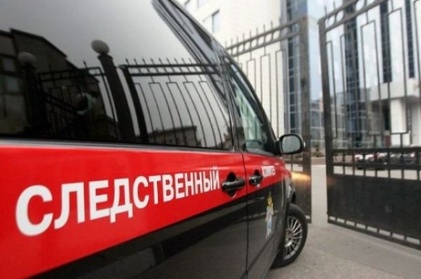 В СК рассказали о версиях крушения самолета Як-18 в Хабаровском крае - «Происшествия»