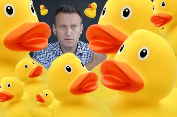 В соцсетях задали жару Алексею Навальному - «Новости дня»