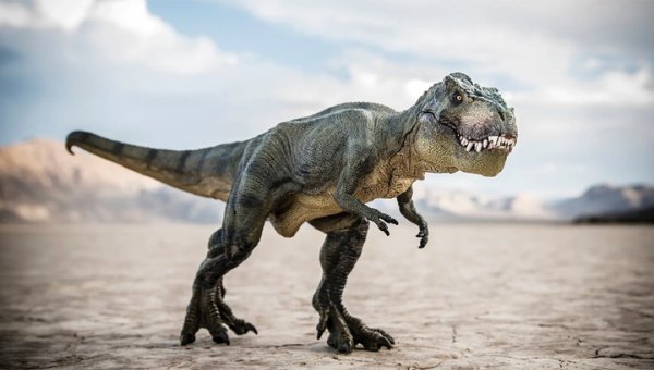 В США мужчина выставил на eBay скелет тираннозавра - «Новости дня»