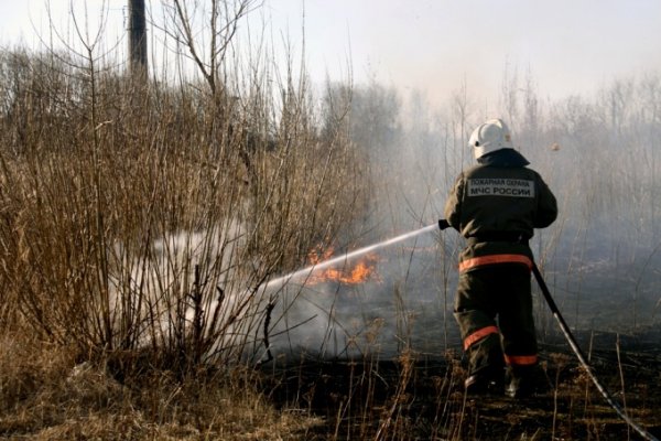 В Свердловской области начался сезон пожаров