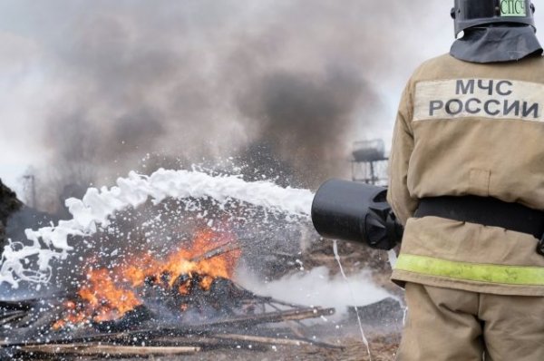 В Забайкалье открылась горячая линия из-за ситуации с пожарами - «Происшествия»